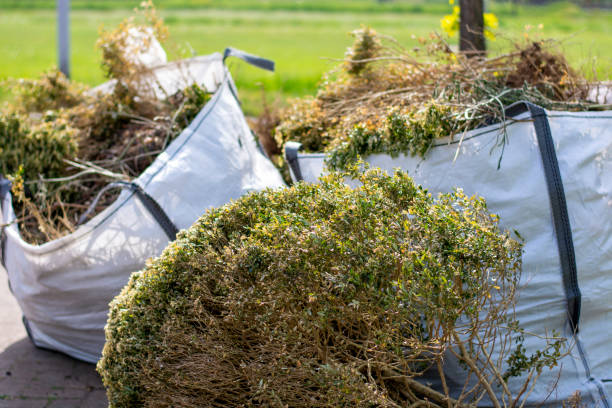 Best Yard Cleanup Services  in , WV