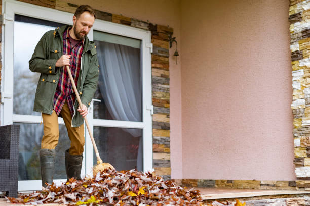Best Basement Cleanout Services  in , WV